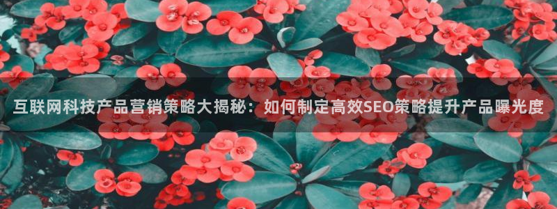 金年会网站不给提现怎么办?