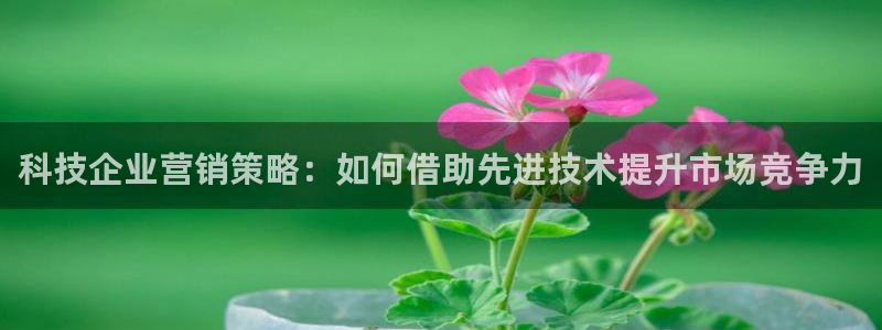 金年会pg麻将胡了
