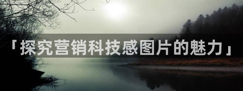 金年会赌博案
