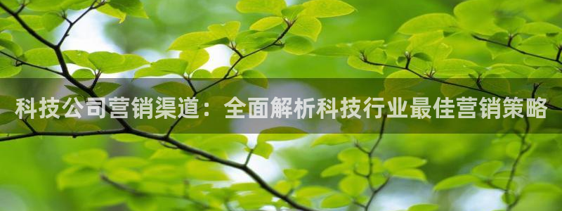 金年会体育官网app