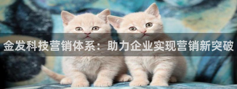 金年会pg麻将胡了几张牌