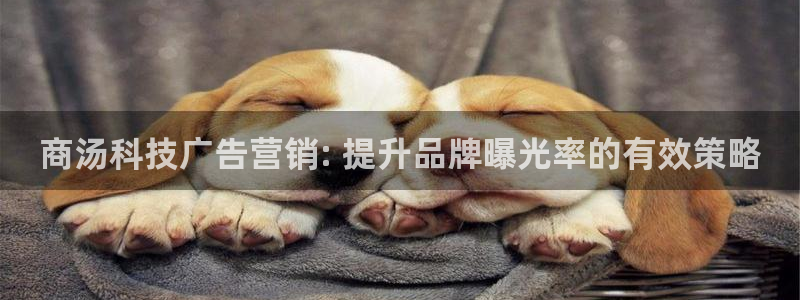 金年会网站事件后果