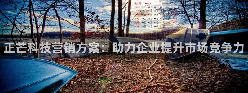 金年会 金字招牌诚信至上Vip