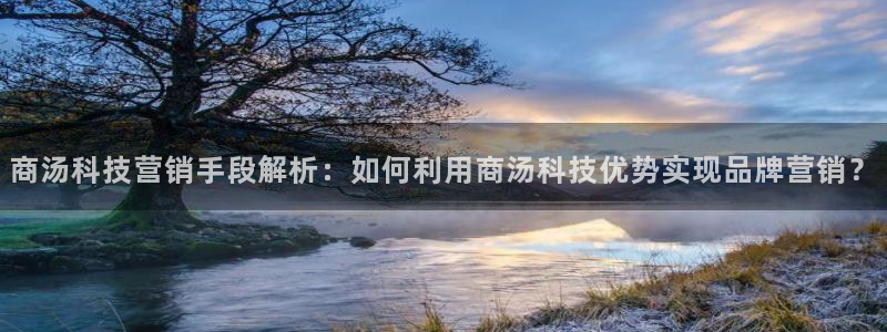金年会官方平台是什么