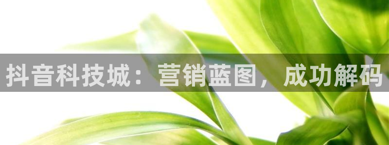 金年会官方网站入口网址