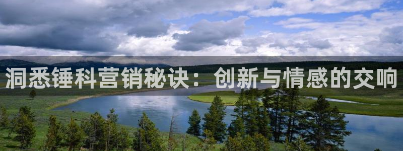 金年会体育官方平台