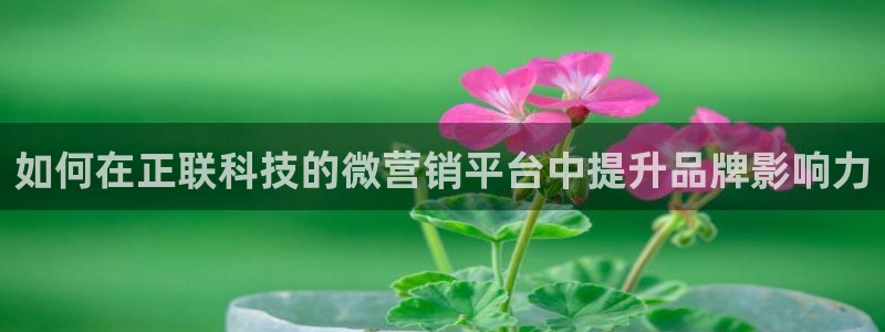 金年会官方登录