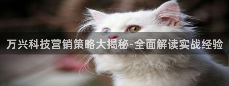 金年会官方入口网站