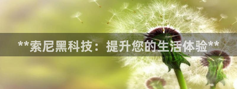金年会官方入口首页网站
