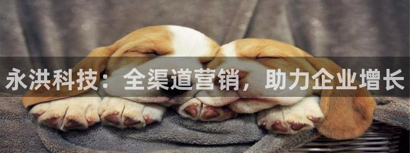 金年会平台官网登录