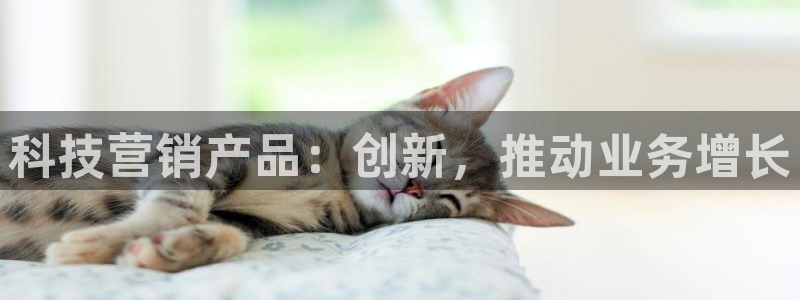 金年会体育买球