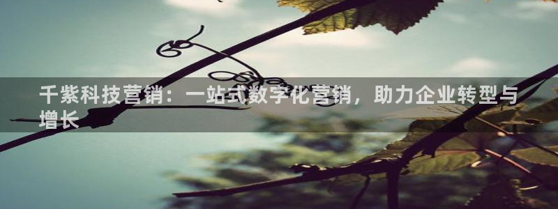 金年会体育app官网86