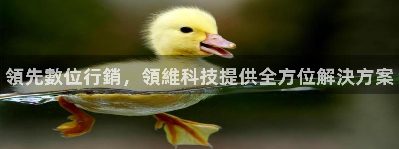 金年会官方app下载