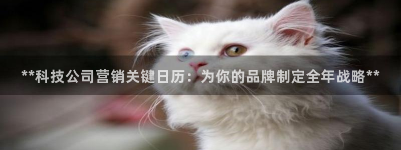 金年会电子官网
