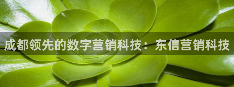 金年会体育论坛官网