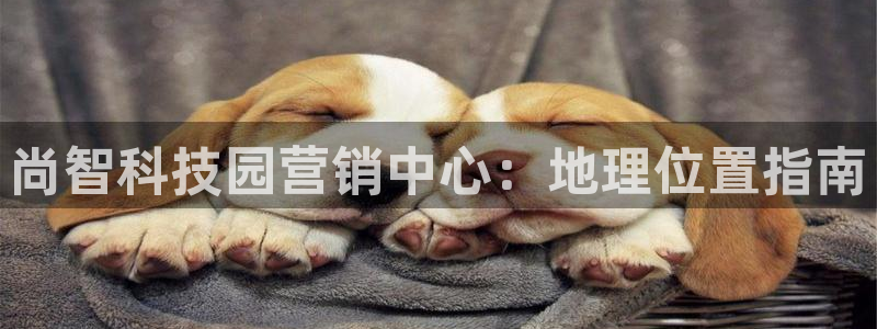 金年会手机版官方网站