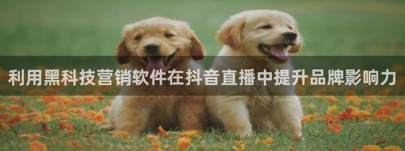 金年会VIP