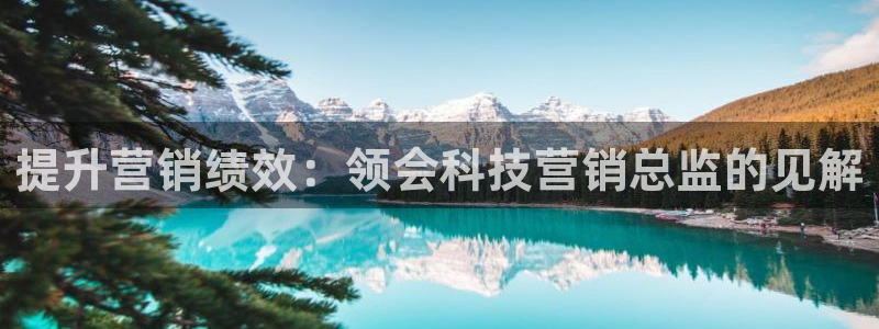 金年会网站洗黑钱