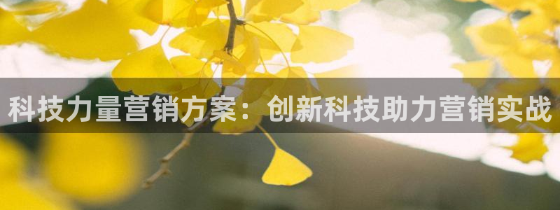 金年会体育