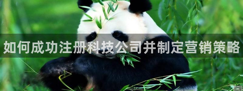 金年会网站洗黑钱