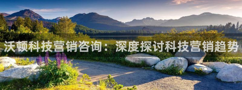 金年会网址导航下载安装