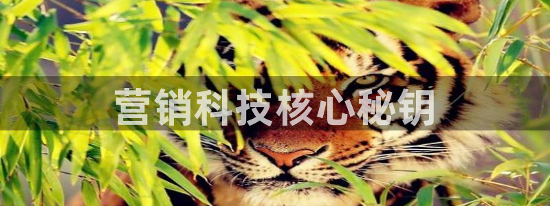 金年会平台是黑网