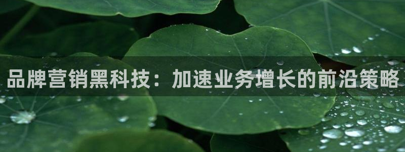 金年会官方登录入口手机版