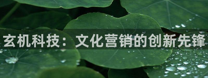 金年会网站入口登录
