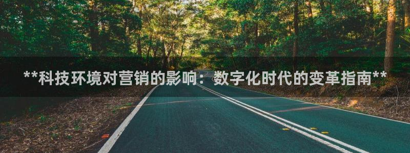 金年会App官方下载