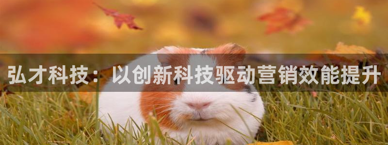 金年会电子官网：弘才