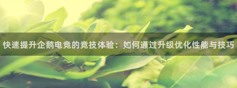 易游电竞