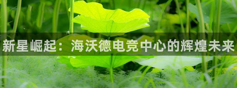 易游电竞