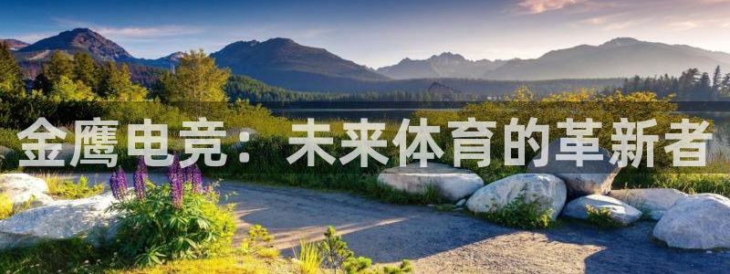 易游电竞