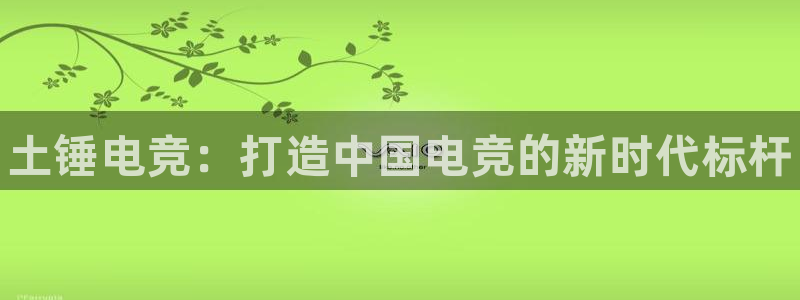 易游电竞