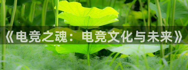 易游电竞官网