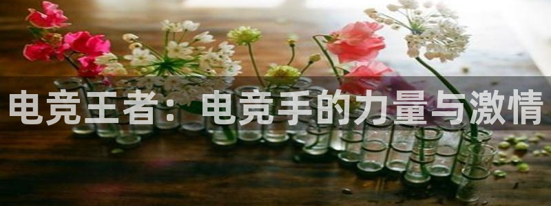 易游电竞官网