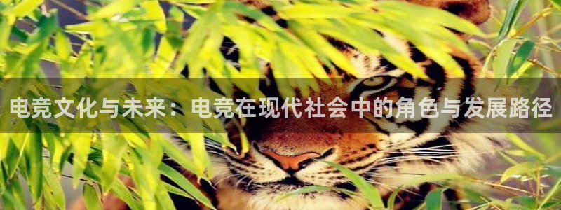 易游电竞