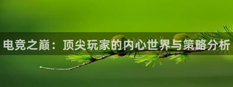 易游电竞官网