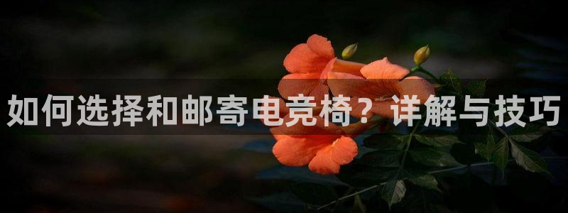 易游电竞官网