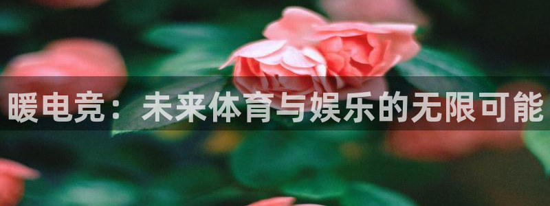 易游电竞官网